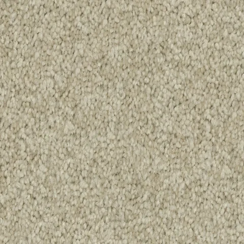 Birchwood carpet swatch